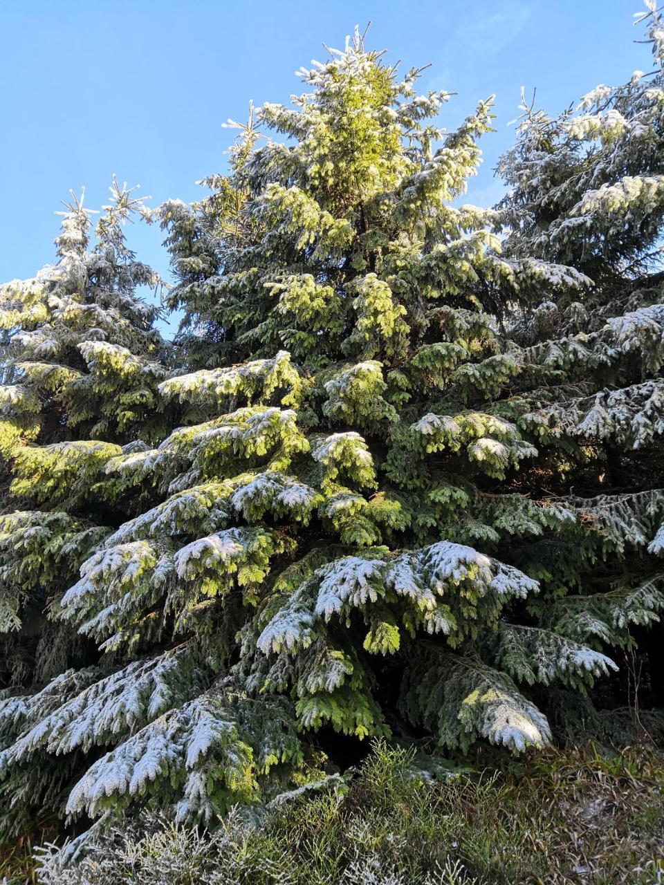 Penzion Čtyřlístek Teplice nad Metují Exterior foto
